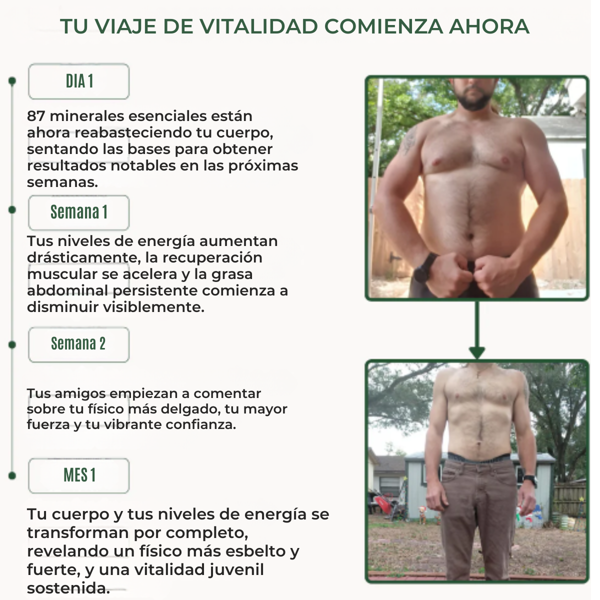 Lonvera | Hígado de Res – Detox Natural para el Hígado